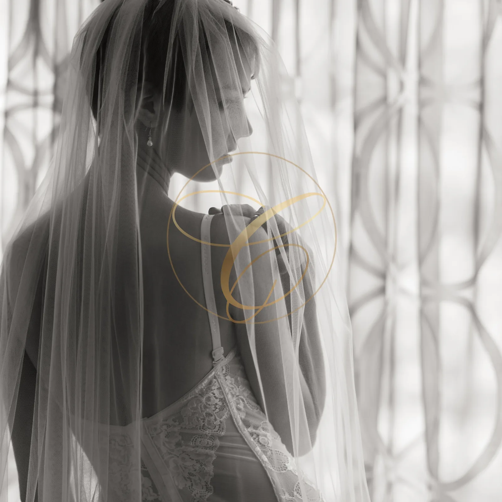 Photographic study 21 of the fictional Connivence exhibition